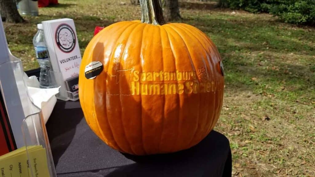 Pumpkin with Spartanburg Humane Society carved into it